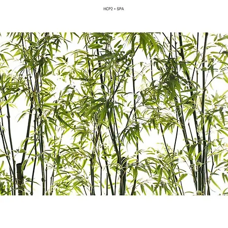 Costa De Prata 2 & 3* Figueira da Foz